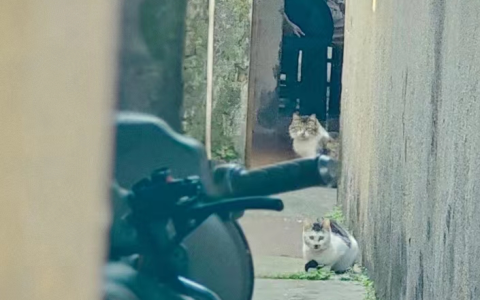 突然觉得“清晰”并不重要